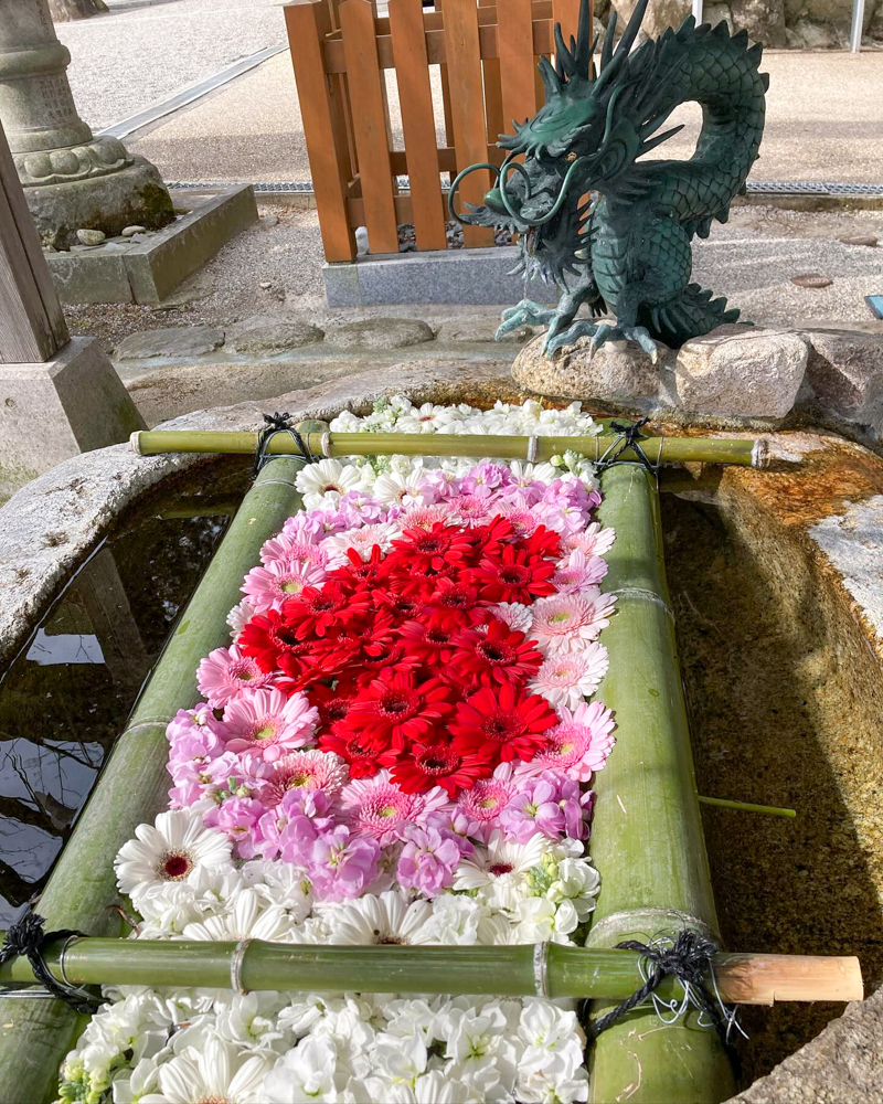 立志神社、花手水舎、2月冬、滋賀県湖南市の観光・撮影スポットの名所