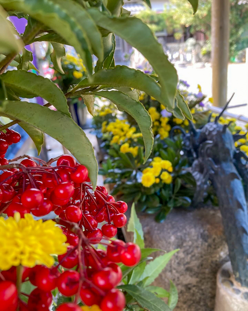 竹神社、花手水舎、1月冬、三重県多気郡の観光・撮影スポットの名所 |