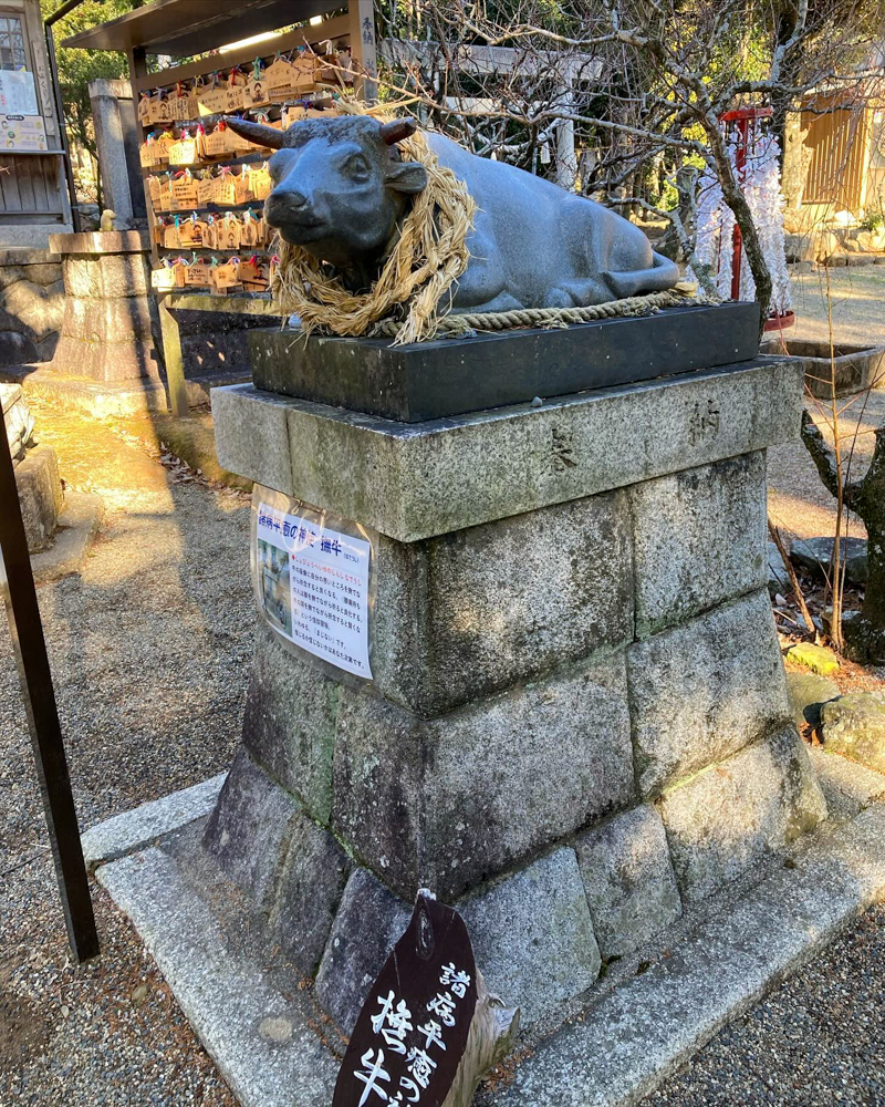 菅原神社、撫で牛、1月冬、三重県鈴鹿市の観光・撮影スポットの画像と写真