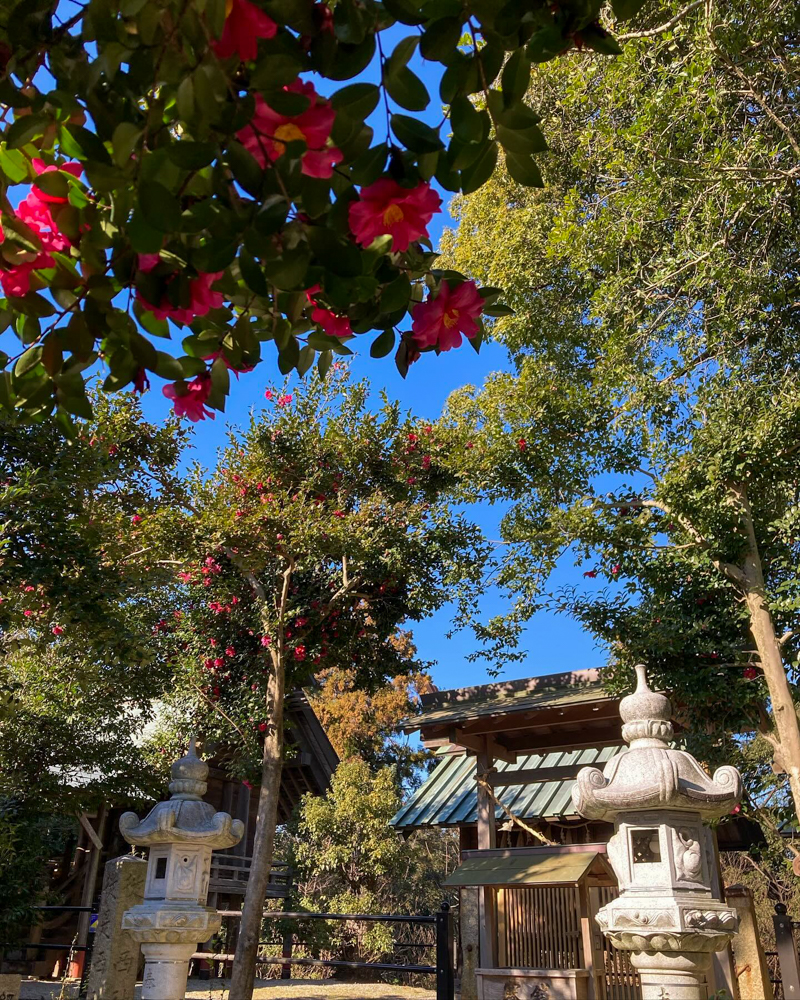 菅原神社、1月冬、三重県鈴鹿市の観光・撮影スポットの画像と写真