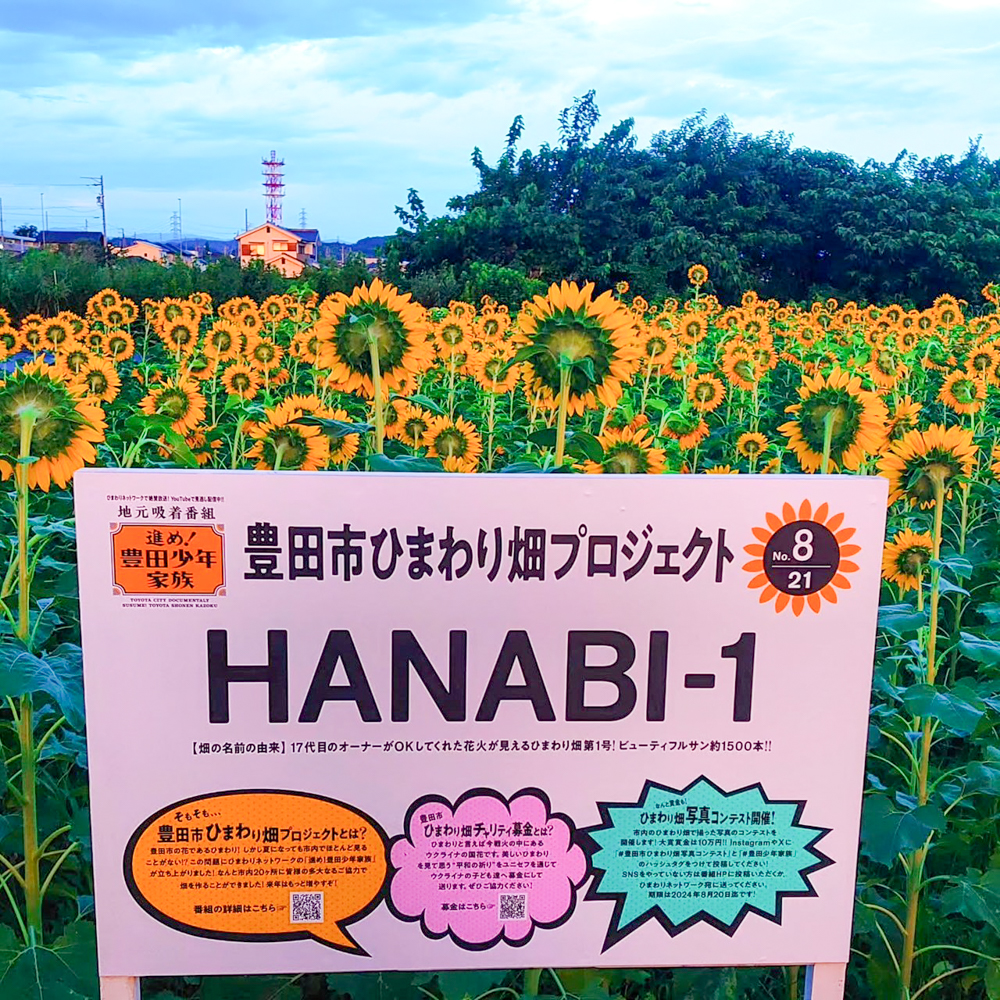 豊田市ひまわり畑プロジェクト 、8月夏の花、愛知県豊田市の観光・撮影スポットの画像と写真