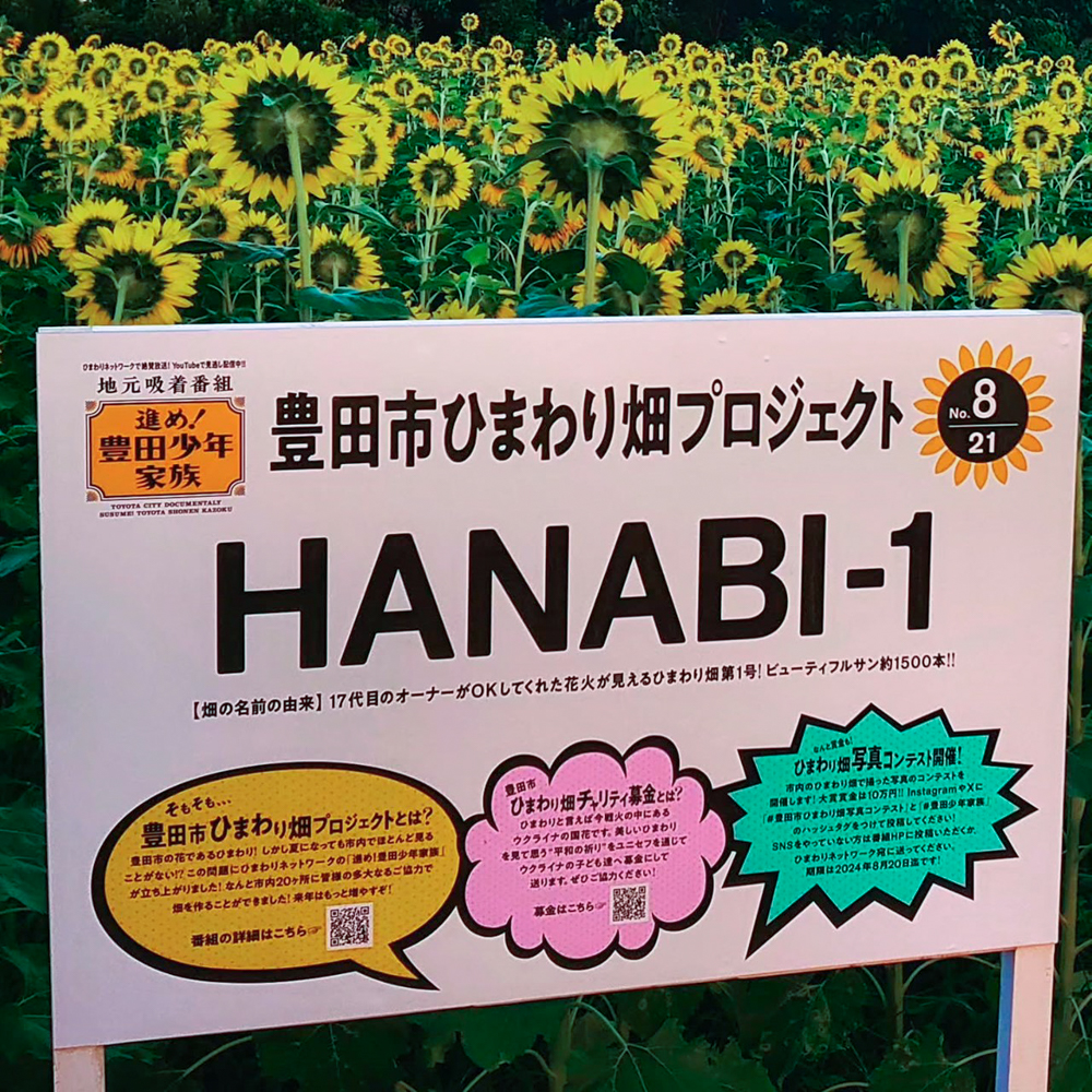 豊田市ひまわり畑プロジェクト 、8月夏の花、愛知県豊田市の観光・撮影スポットの画像と写真