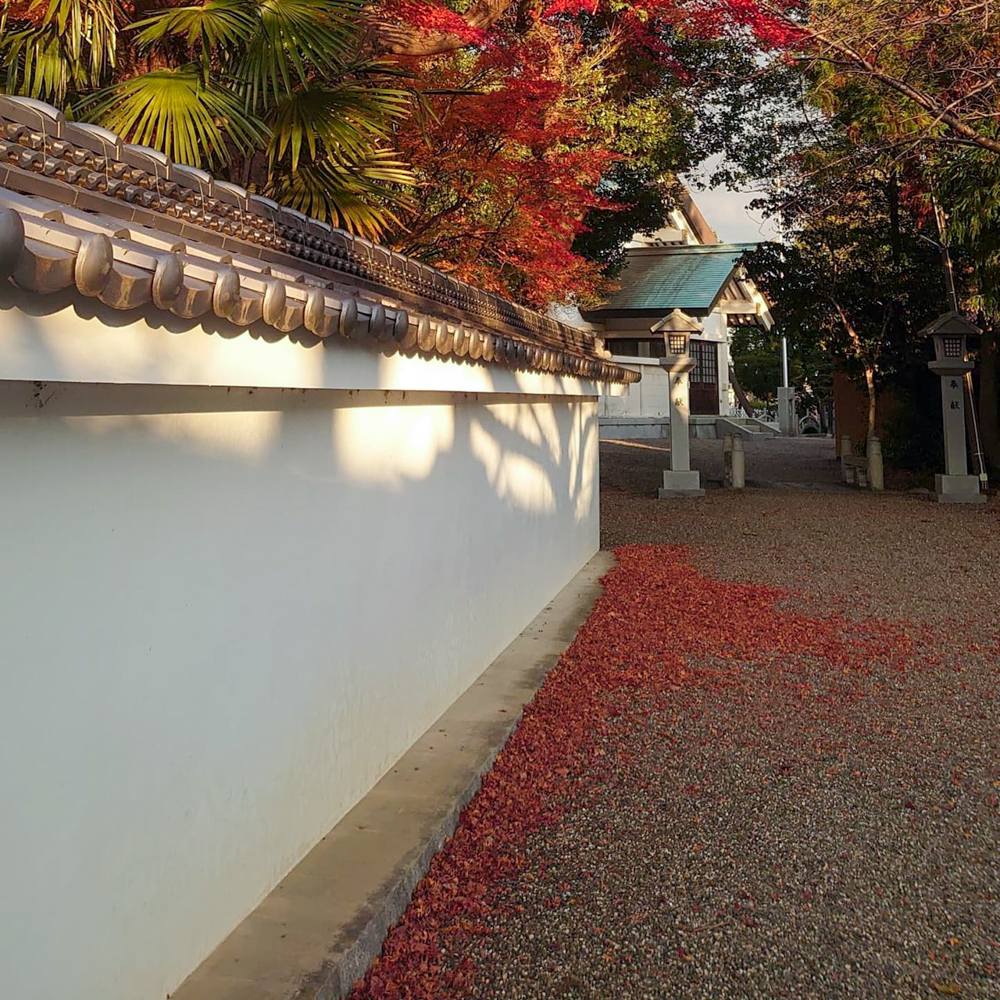 都波岐・奈加等神社、紅葉、12月冬、三重県鈴鹿市の観光・撮影スポットの名所