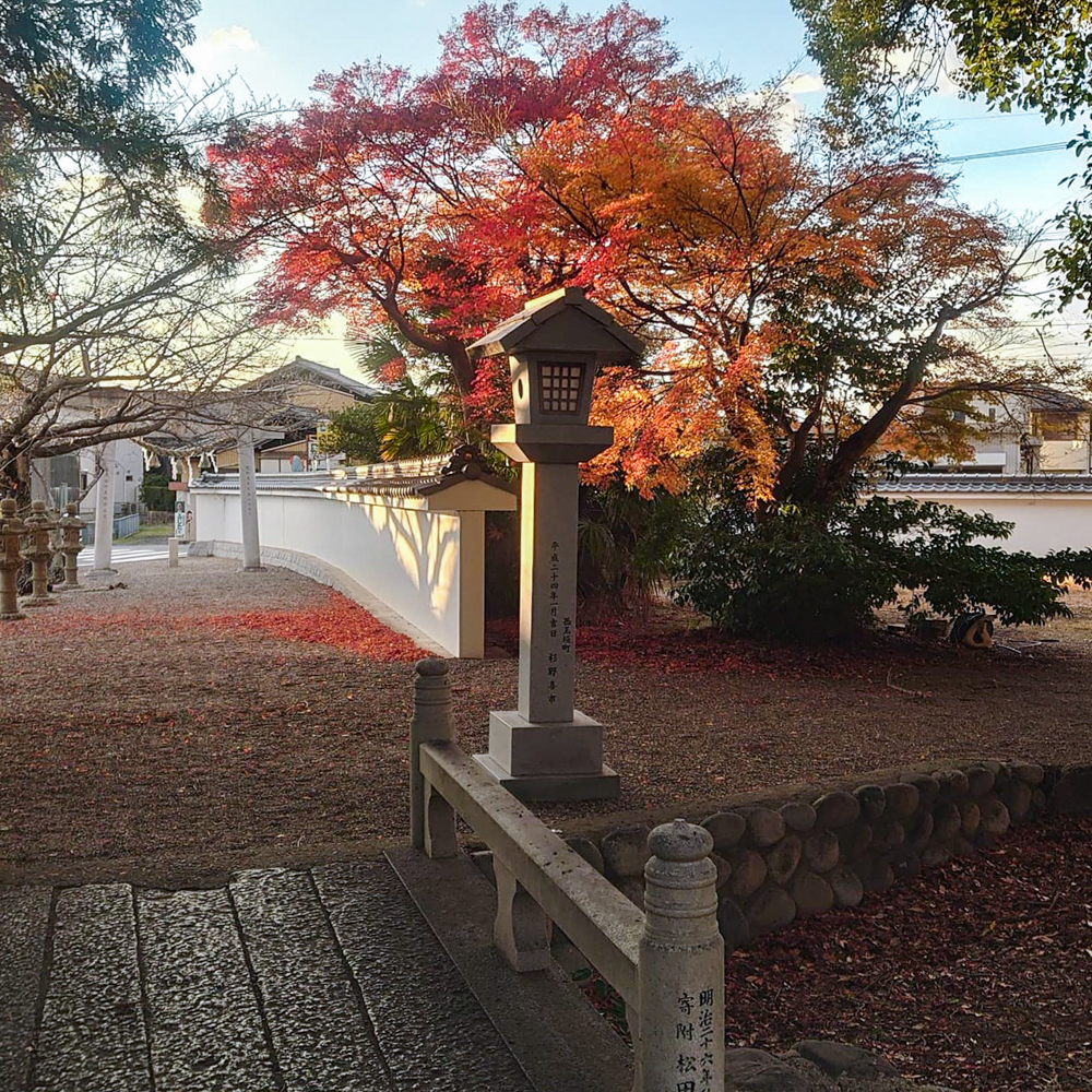 都波岐・奈加等神社、紅葉、12月冬、三重県鈴鹿市の観光・撮影スポットの名所