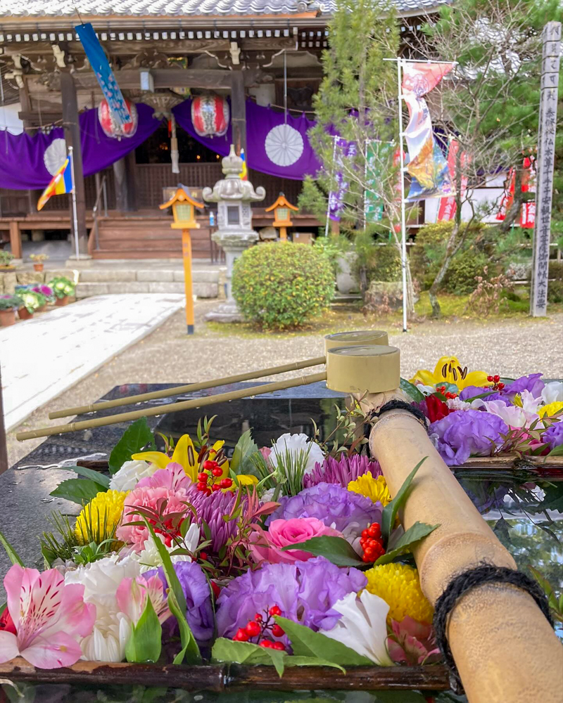 長光寺、花手水舎、1月冬、滋賀県近江八幡市の観光・撮影スポットの名所