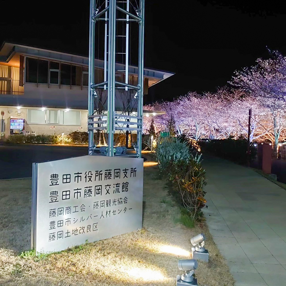 飯野川桜並木ライトアップ、3月春の花、愛知県豊田市の観光・撮影スポットの画像と写真