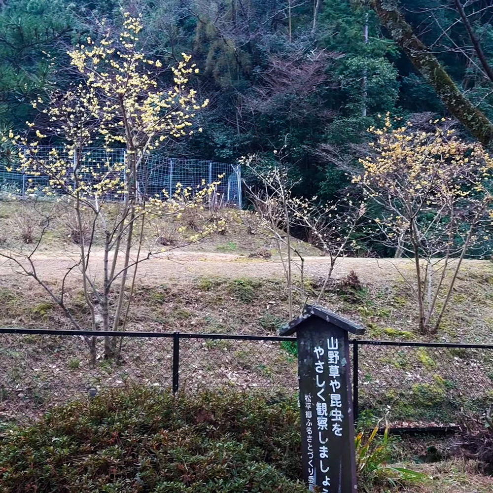 松平郷高月院、愛知県豊田市の観光・撮影スポットの画像と写真