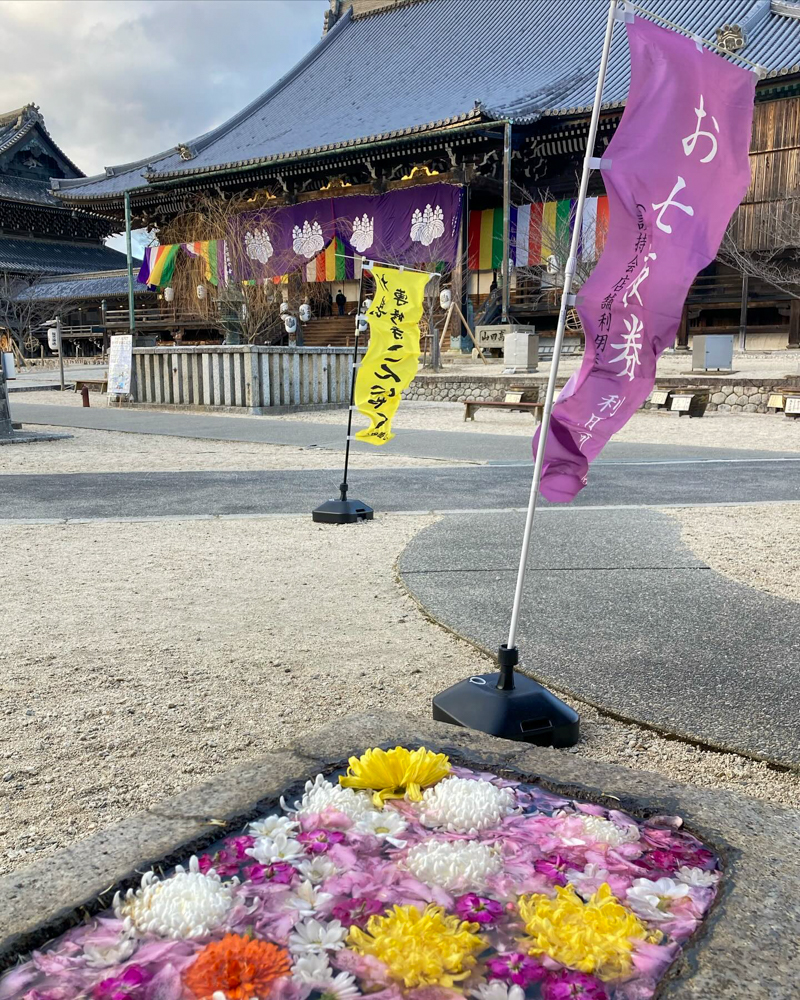 高田本山専修寺のお七夜報恩講、花手水舎、1月冬、三重県津市の観光・撮影スポットの名所