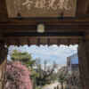 龍光寺 。梅、2月春の花、三重県鈴鹿市の観光・撮影スポットの名所