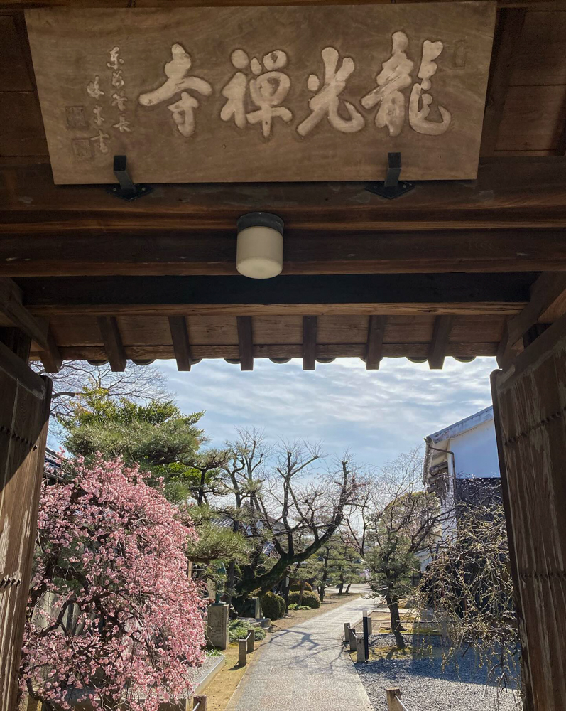 龍光寺 。梅、2月春の花、三重県鈴鹿市の観光・撮影スポットの名所