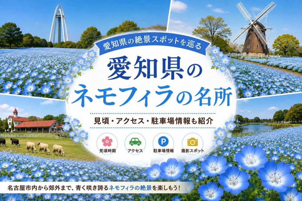 愛知県のネモフィラの名所｜見頃・おすすめのネモフィラ畑
